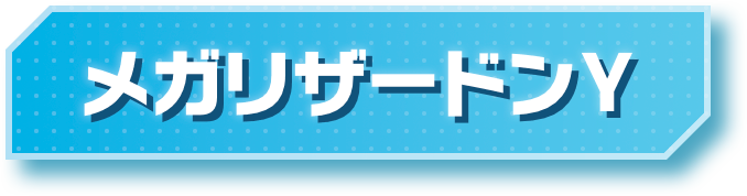 メガリザードンY